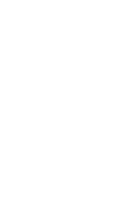alpaca