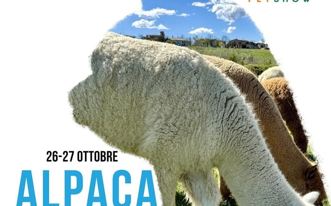 Alpaca Festival Vicenza