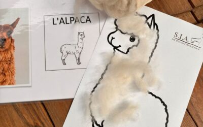 L’Alpaca Show Spring dei piccoli