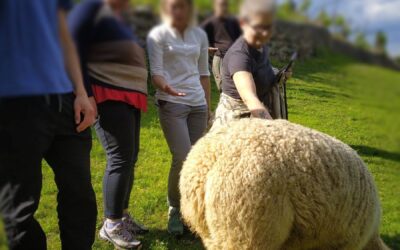 La Foresta incontra il Giardino!